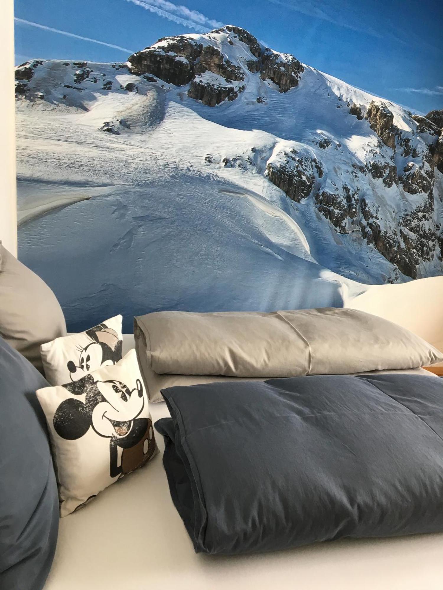 Alpin Appartement Reinhard Tritscher رامساو أم داتشستين المظهر الخارجي الصورة